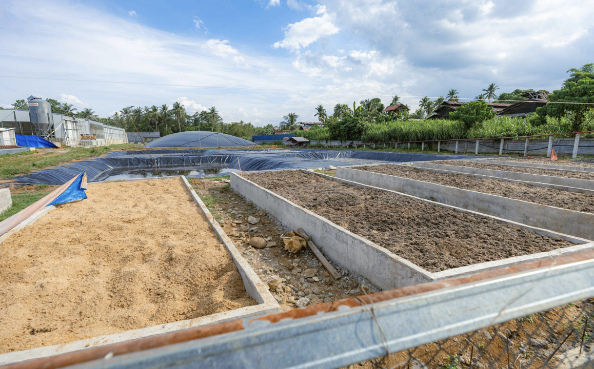 Zamboanga Peninsula farm turns waste into energy through biogas technology