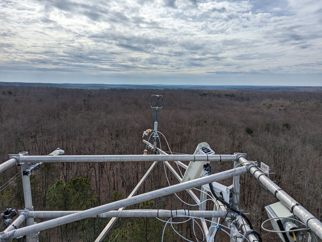 WVU AI research could transform how scientists monitor ecosystems