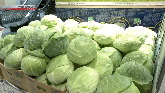 Using satellites to boost cabbage consumption in Japan