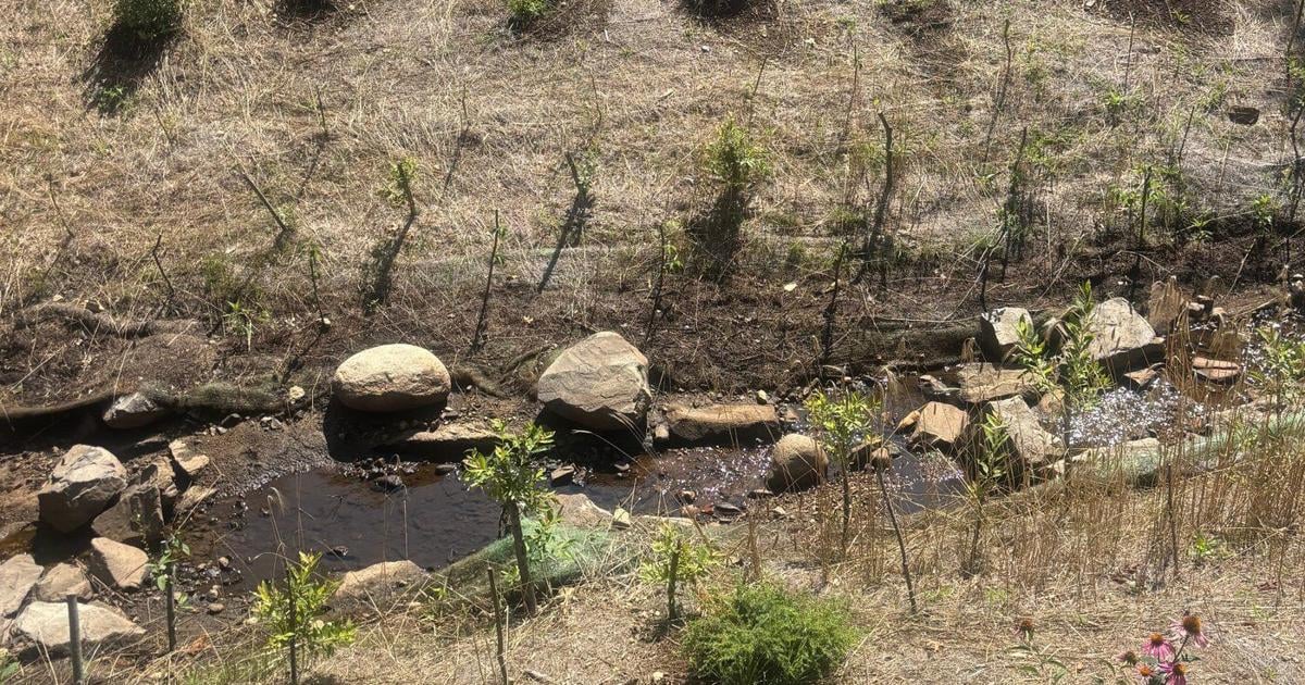 Living shorelines in Maine show mixed success