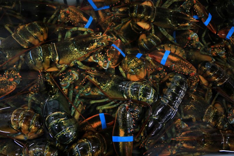 Canada excludes US seafood from retaliatory tariffs