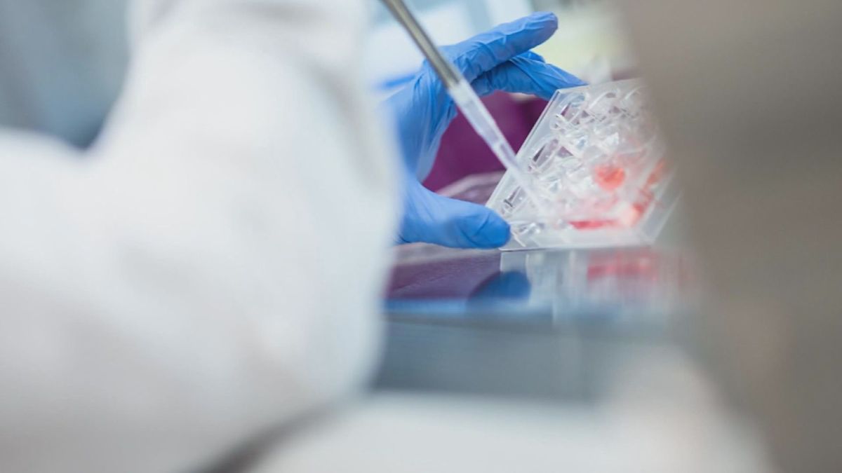 Canada recruits dozens of leading and emerging researchers