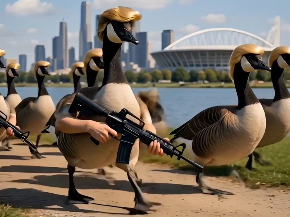 WARMINGTON: Video of Canada Geese dolled up with Trump's hair armed for tariff war