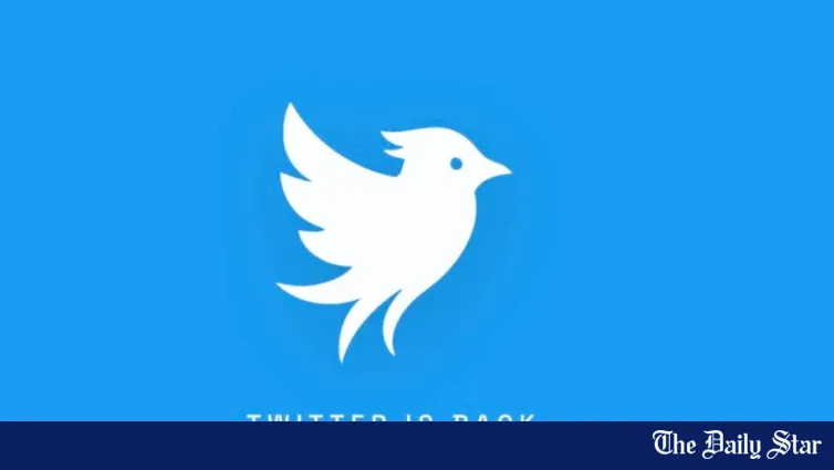 Looks like Twitter is back