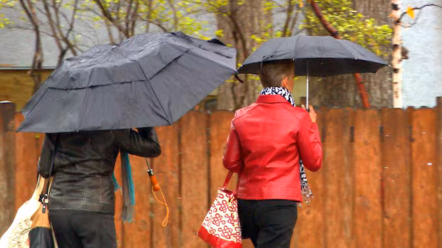 B.C.'s 1st 'fall storm' could bring 'onslaught' of rain to parts of coast: Environment Canada