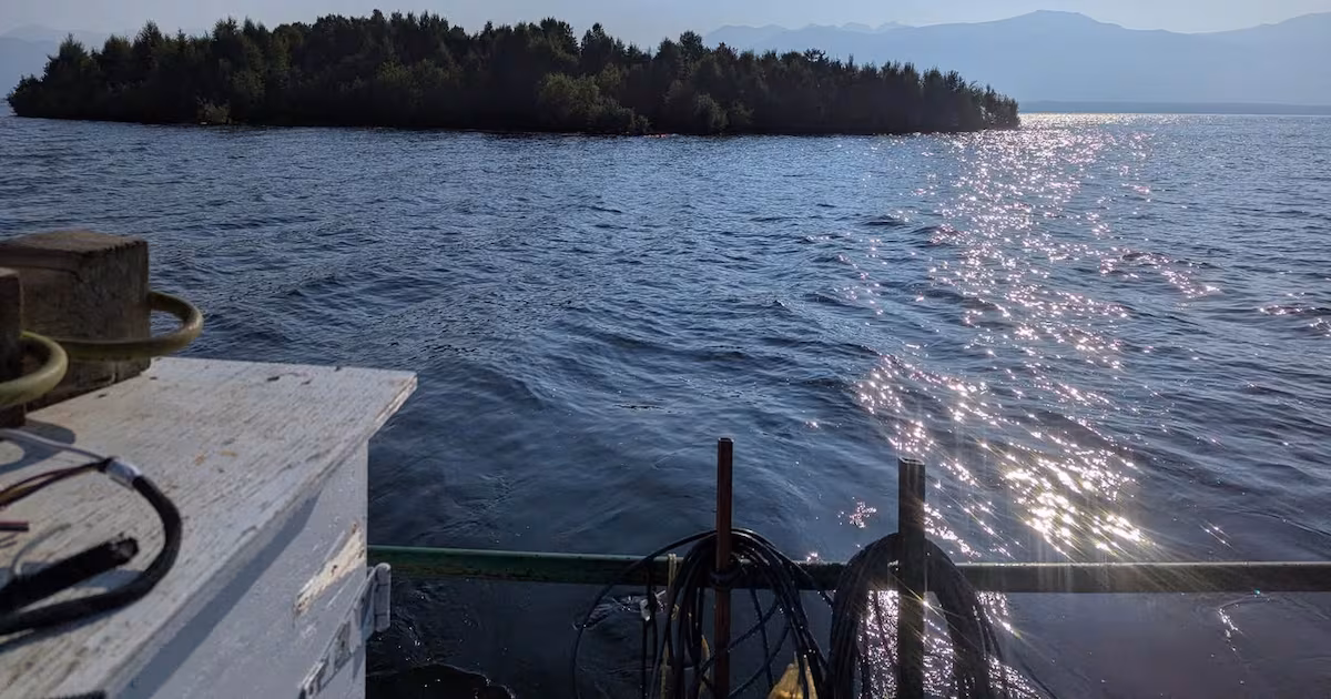 B.C. boaters warned to avoid mysterious floating island