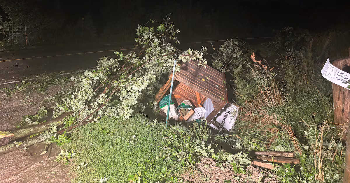 Potential tornado reported in Wellesley area