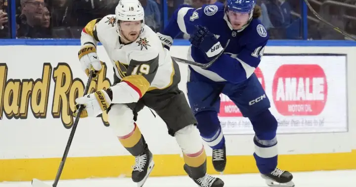 Maple Leafs sign forward Brendan Brisson