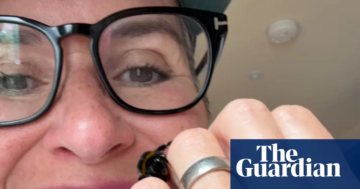 ‘I could watch her for hours’: the woman who rescued a bee and created a buzz