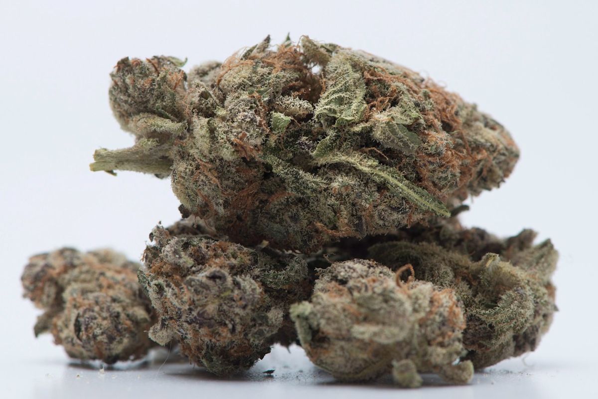 N.S. authorities investigating after report of fentanyl in cannabis