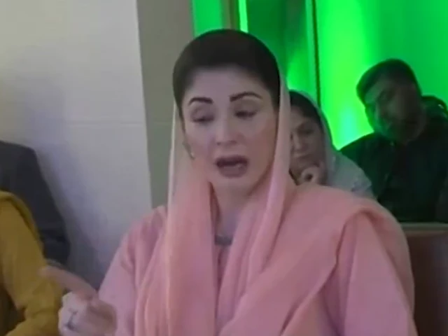 Terror stems more from provinces than countries: Maryam