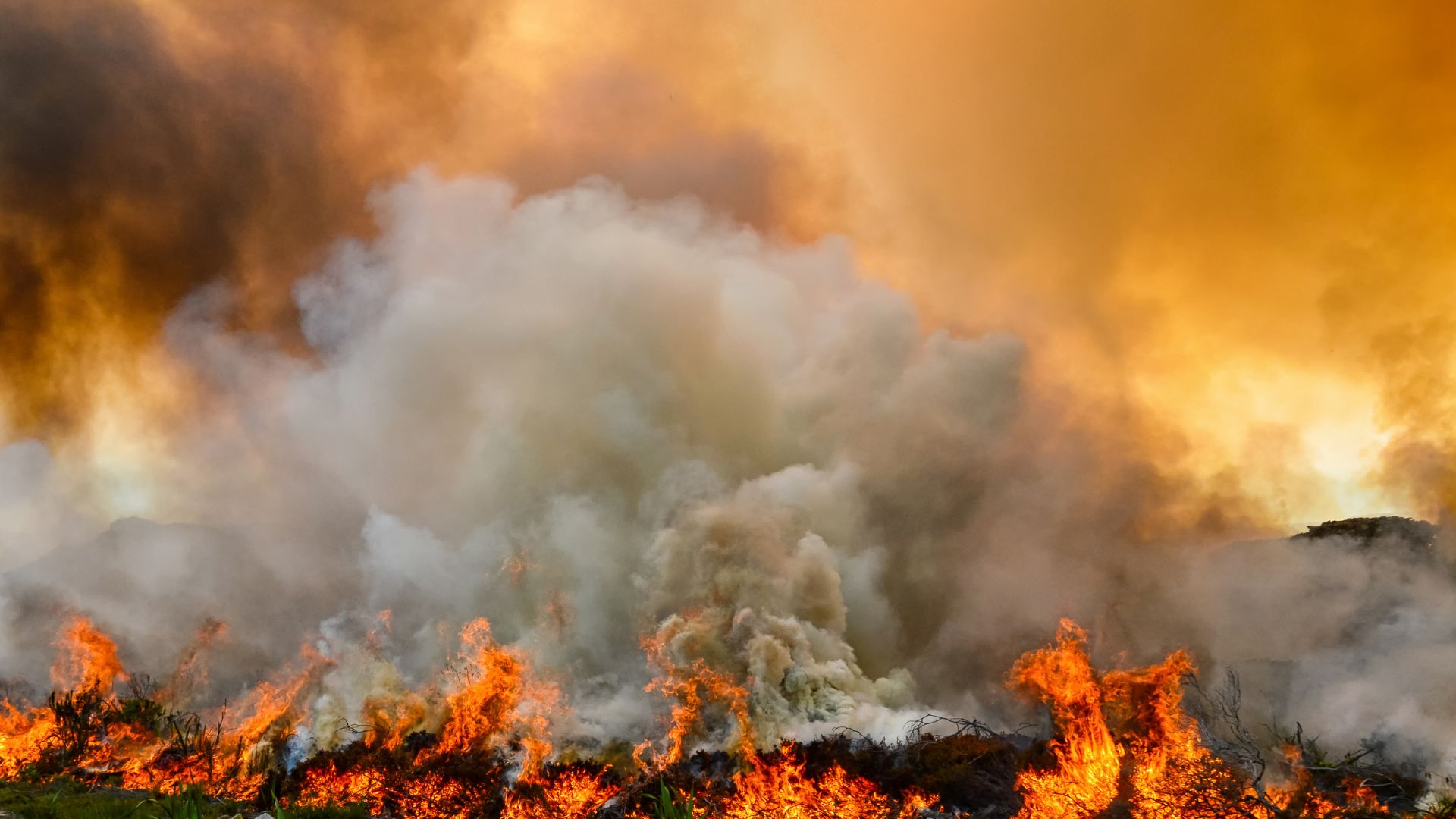 WMO bulletin shows air quality and climate interlinkages