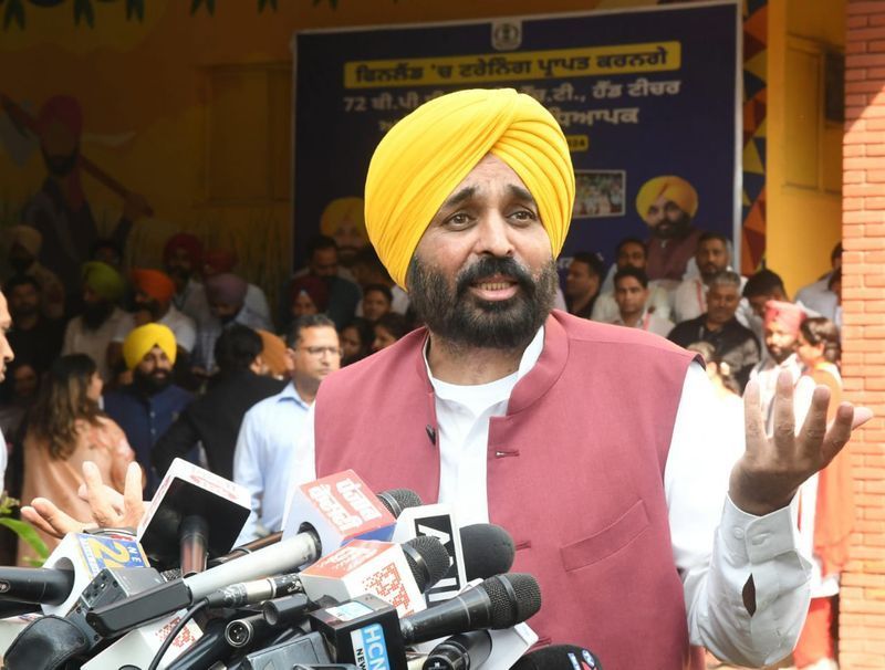 Dont do politics over dead bodies: Mann to Rahul on Punjab villager suicide