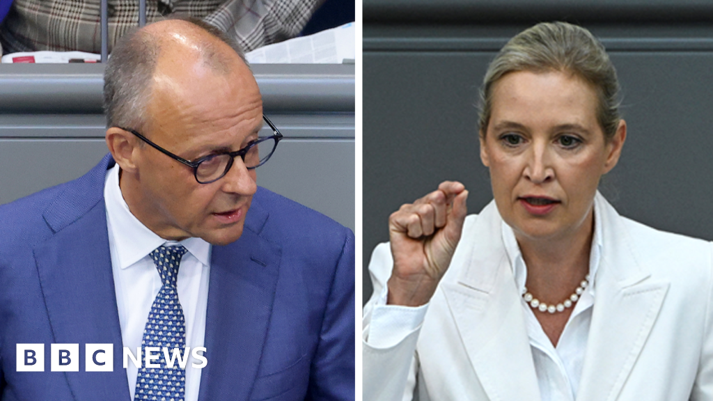 Germany's Merz attacks AfD in stormy debate after far