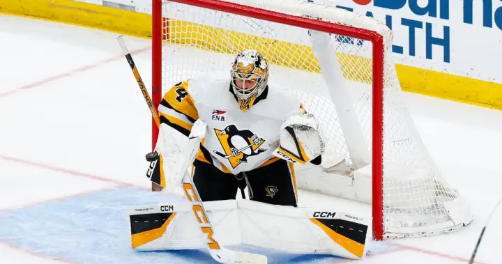 New Winnipeg goalie Skinner excited to be a Jet
