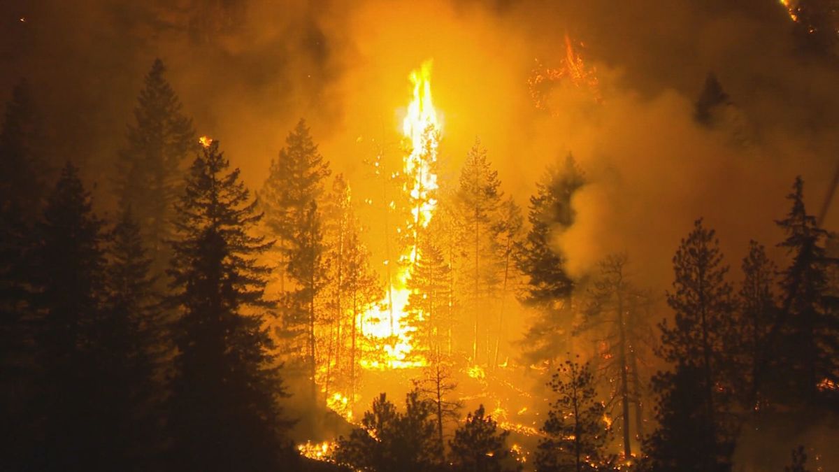 Okanagan communities react to FireSmart project funding