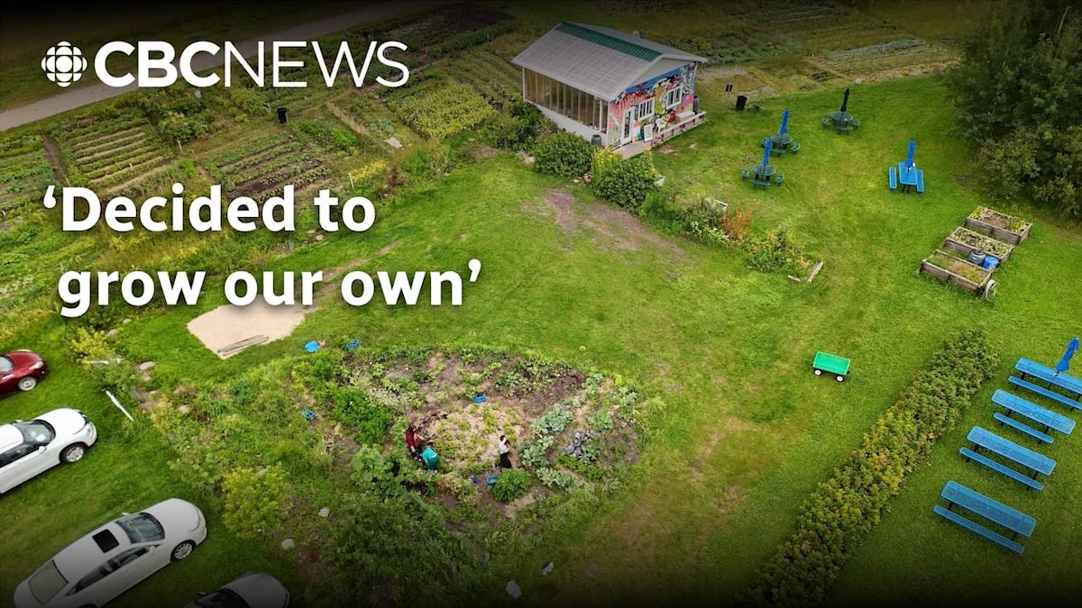 These Alberta teens grew their own jobs, here’s how