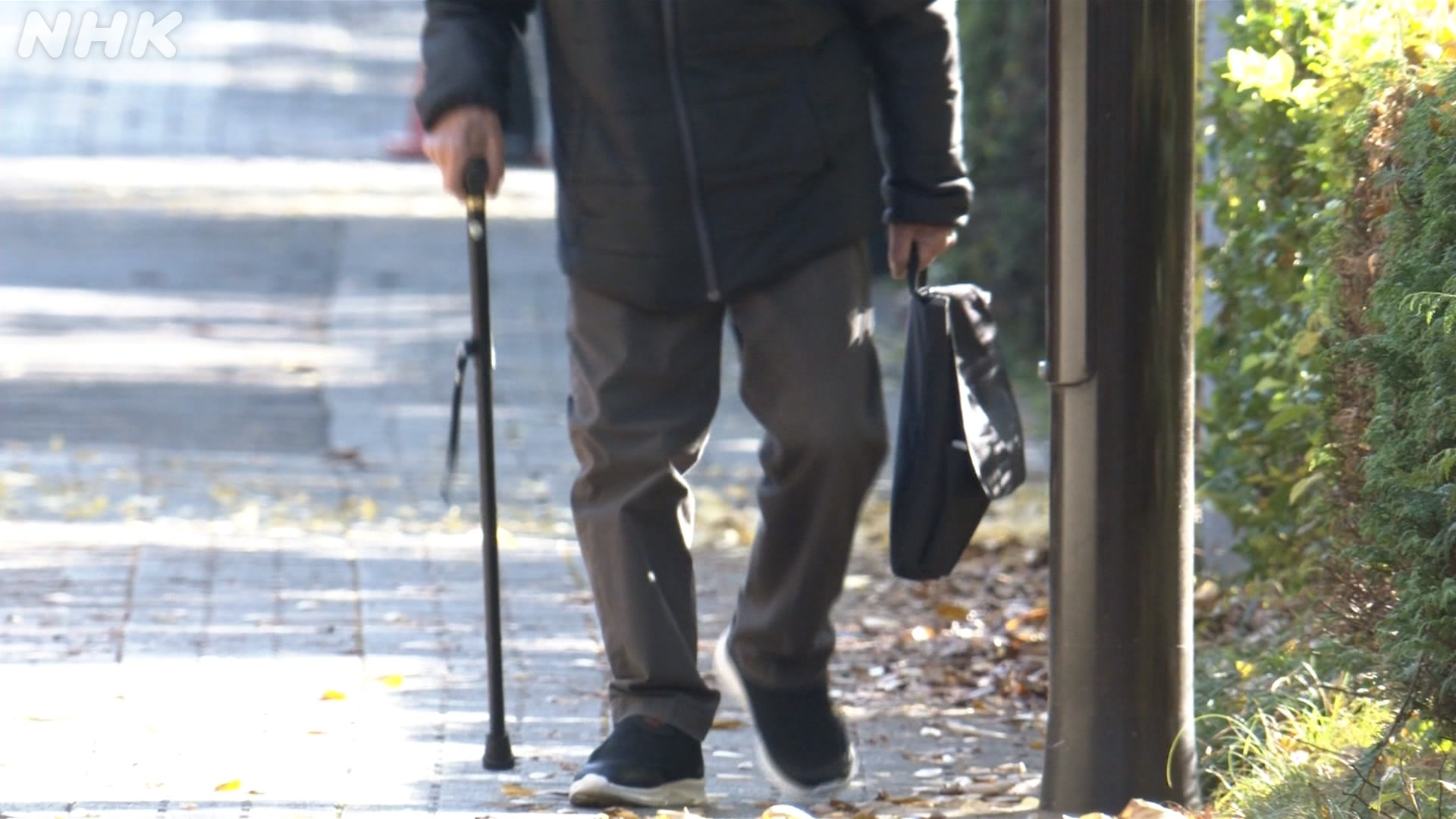 Japan's percentage of elderly hits new record high