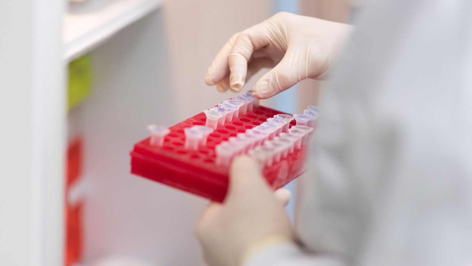 New federal funds support pandemic preparedness research