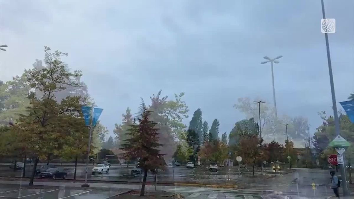 Rainy autumn day in Vancouver, BC