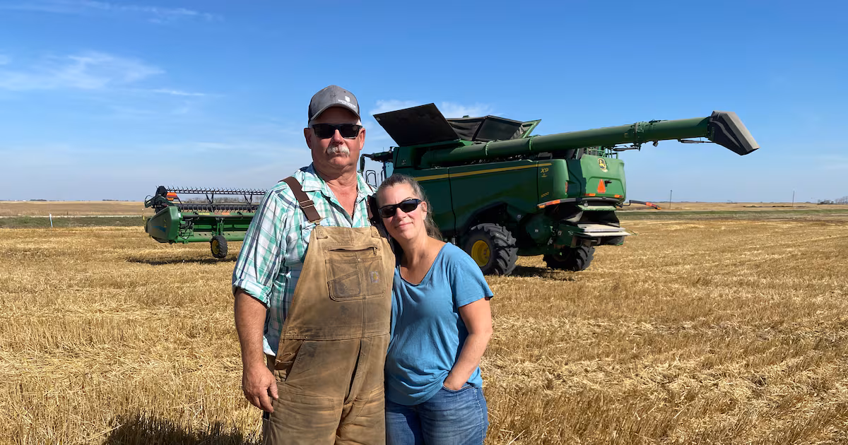‘Pretty bleak’: Why this year’s delayed harvest is pushing farmers to a breaking point