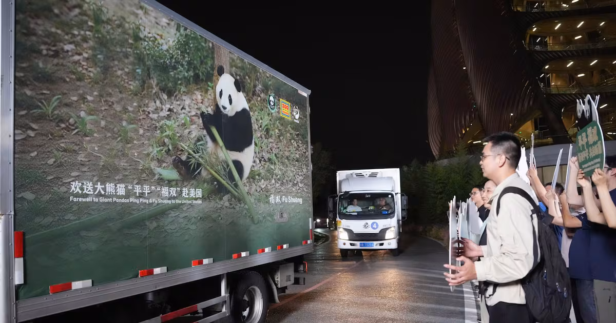 Panda diplomacy: China lends animals to U.S. for foreign ties