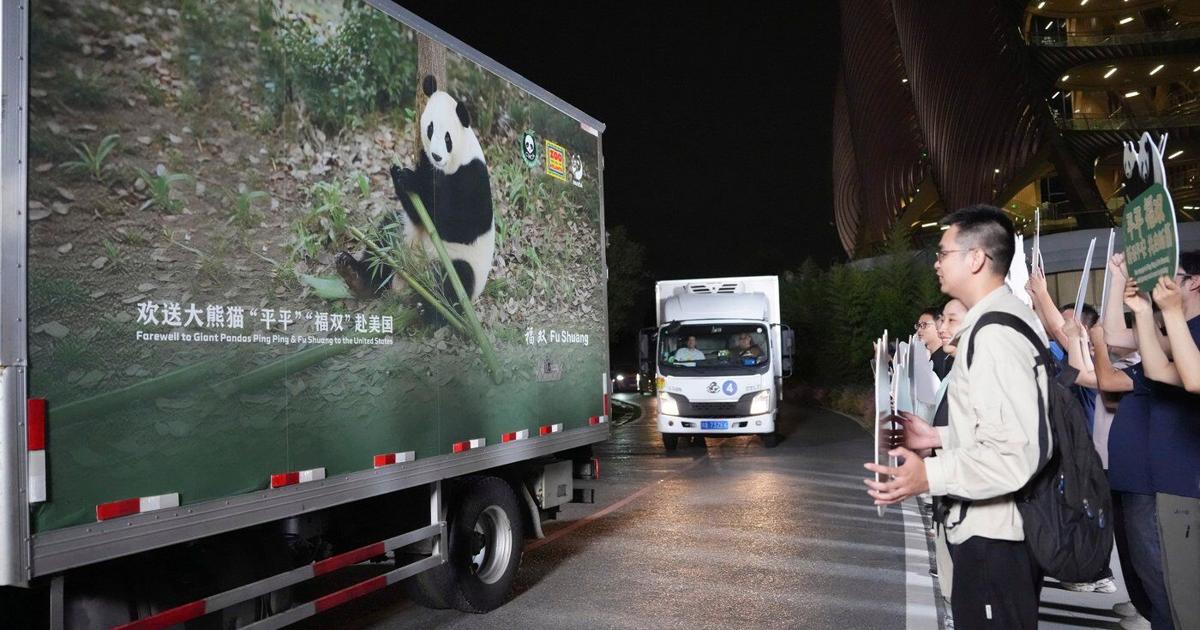 2 giant pandas arrive in Atlanta under a US