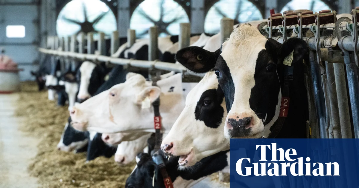 US ban on Canadian imports likely to weaken already fragile relationship