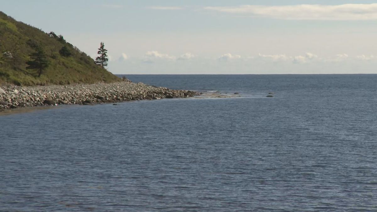 Environmental groups anxious over Canada's pipeline decision