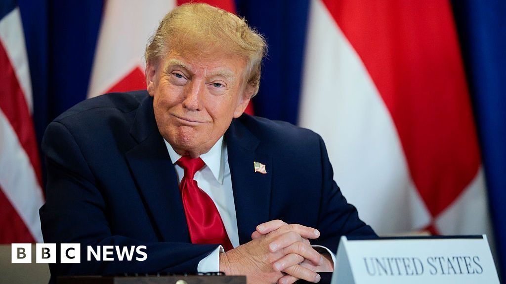 Trump's AI rebrand causes 'unprecedented' demand for Slovenian website names