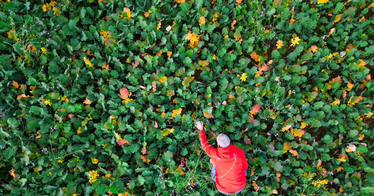 September recap: Top 10 agriculture innovation, startup, business and trend stories
