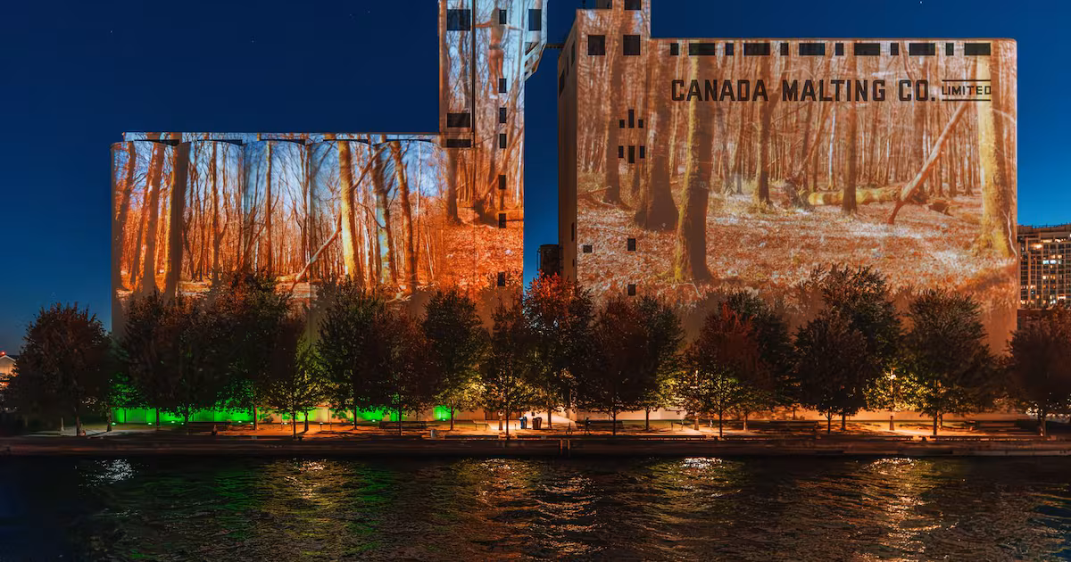 Toronto art installation shines light on growing Canada