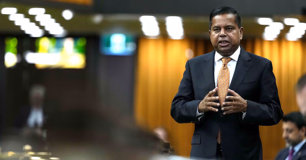 Security screening mostly 'unimpeachable' but 'there are gaps': Anandasangaree