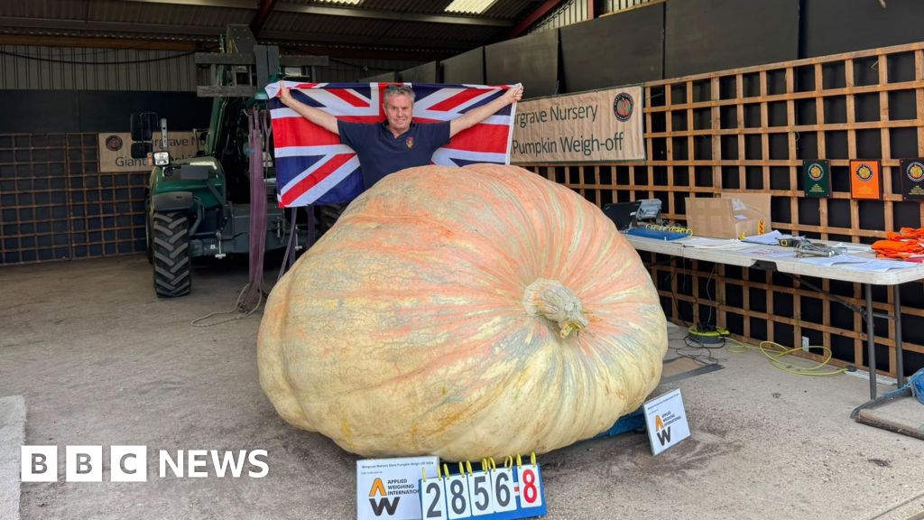 Pumpkin named Bagheera breaks world record for Lymington grower