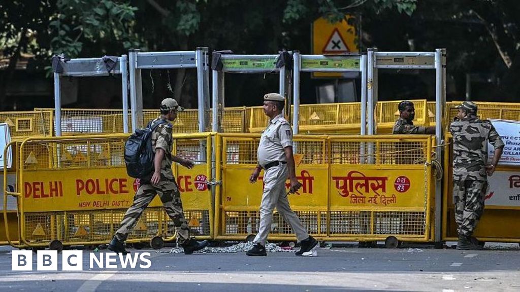 Thousands of security personnel deployed as Delhi braces for cockroach protest