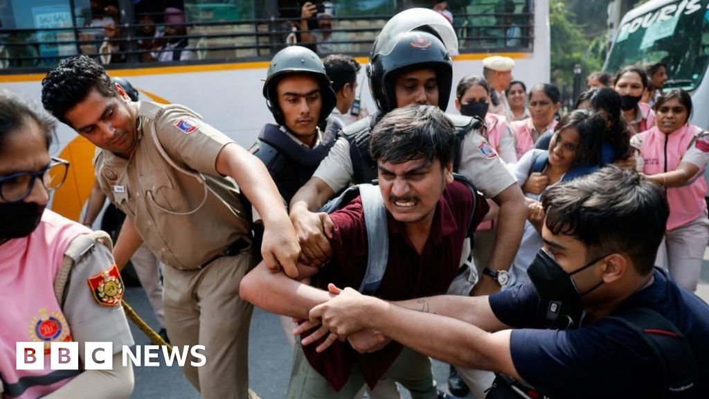 'Cockroach' group leaders among hundreds detained in Delhi protest