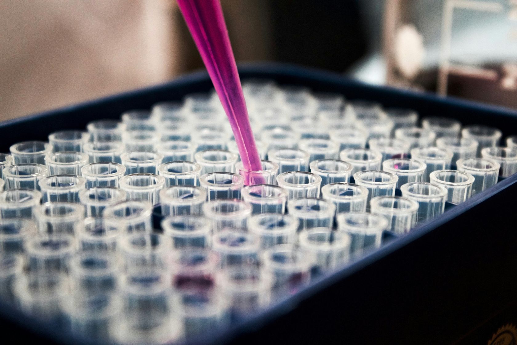 Portugal university develops new tech for monitoring microalgae populations