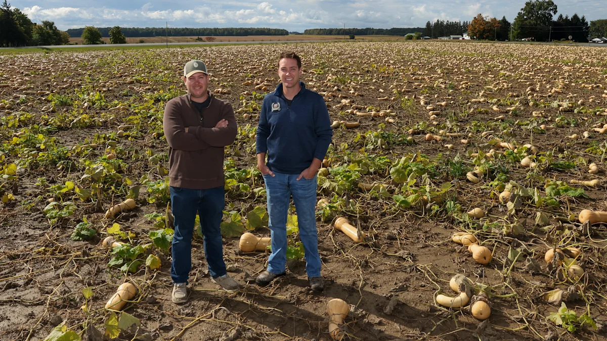 High costs haunt Canadian ornamental pumpkin farm