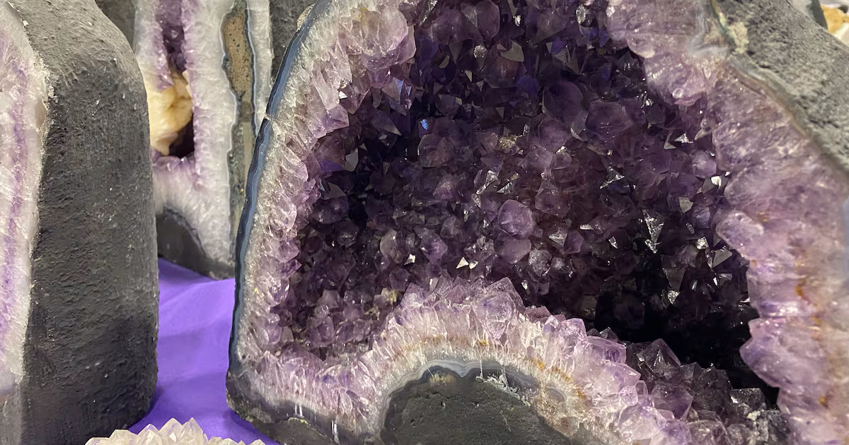 Pieces of geological history on display captivate Manitobans at Red River Ex