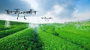 Egypt trials smart irrigation and artificial intelligence technologies to optimise water use in agriculture
