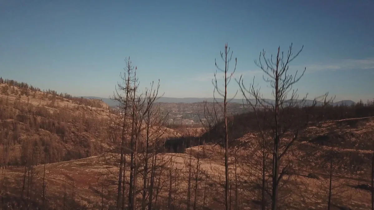 Is B.C. prepared for more drought?