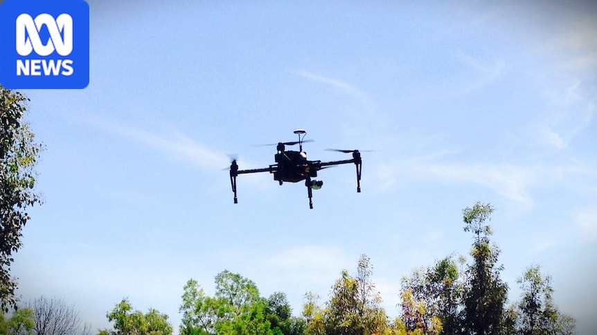 NSW prison staff want drone guns to stop contraband drops