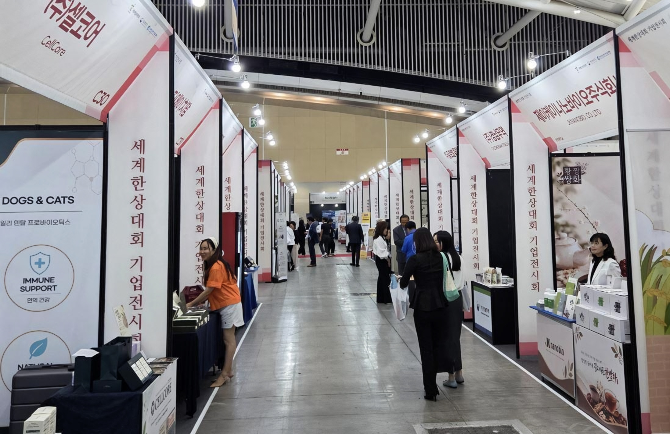 Business Incubation Center helps local startups enter global markets
