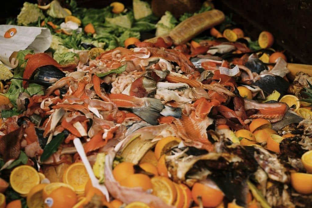 4 Innovative Startups Tackling Global Food Waste