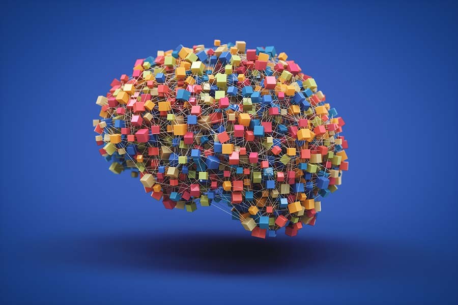 How artificial neural networks build their own learning machinery