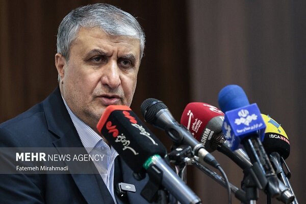 Iran's nuclear tech. potentials amount to developed nations