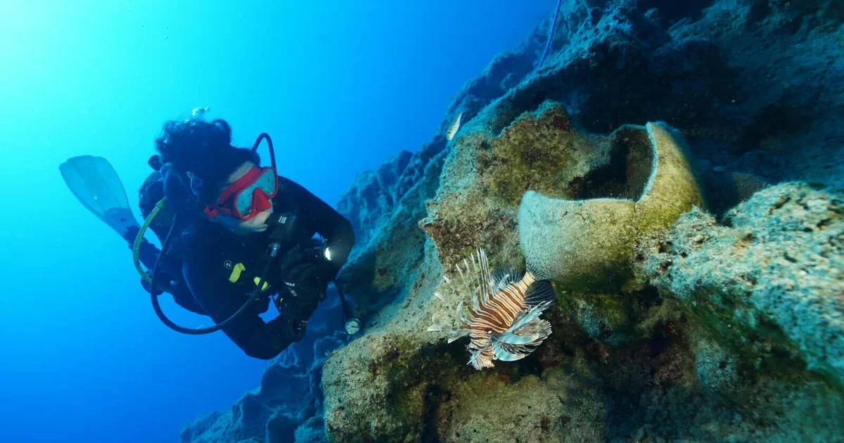 World's oldest shipwreck found off Turkey, archaeologists say: "Time capsule at the bottom of the sea"