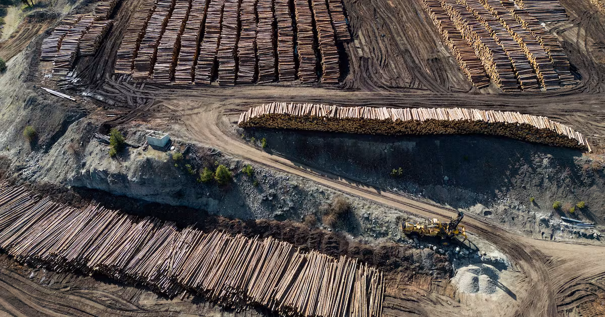 U.S. sets tax total for Canadian softwood lumber exports at almost 35 per cent