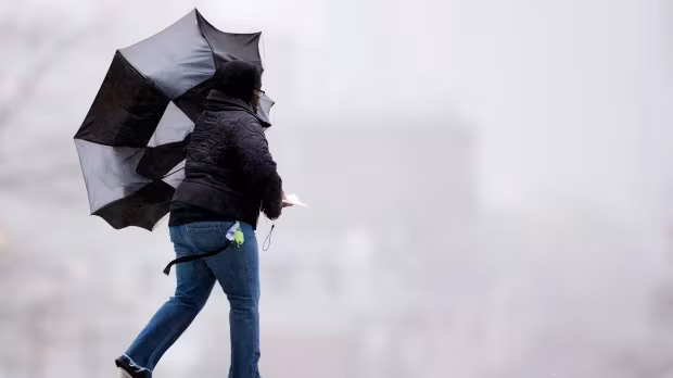 Environment Canada warns of 'damaging' winds on the Avalon and Bonavista peninsulas, Thursday morning