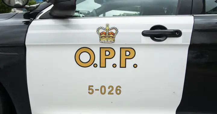 Death toll unknown after intense fire in fatal Highway 401 crash: OPP